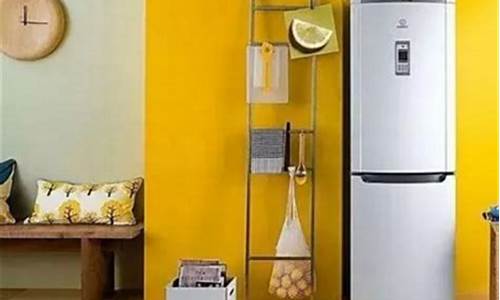 电冰箱哪个牌子好十大排名_电冰箱哪个品牌质量好