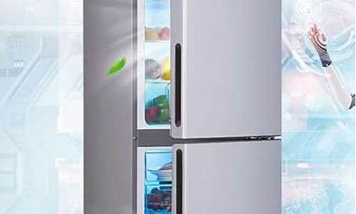 2011电冰箱排行榜_2020电冰箱排行榜